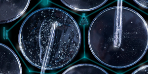 Nitrosamine Impurities MasterClass - US edition