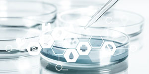 Impurities Training Course