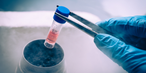 Audit-Proof Dissolution Testing in Pharmaceutical Quality Control
