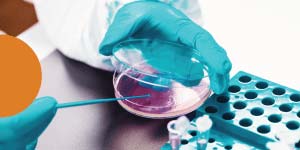 Contamination Control Strategy MasterClass Contamination Control Strategy MasterClass