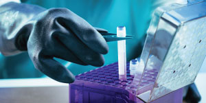 Cell Bank Establishment & Testing - EU edition MasterClass