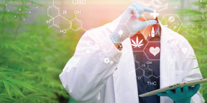 Cannabis for the Biotechnology, Pharmaceutical and Nutraceutical Industry - US edition MasterClass