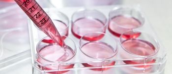 Designing Robust Cell-Based Assays MasterClass - US edition