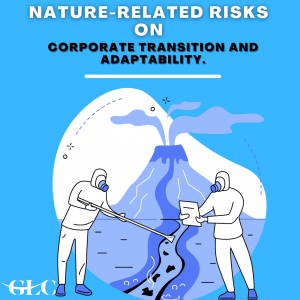 Nature-Related Risks on Corporate Transition and Adaptability