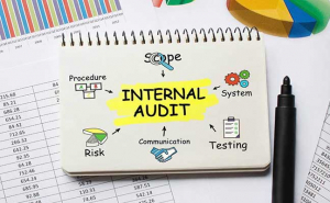 internal audting blog