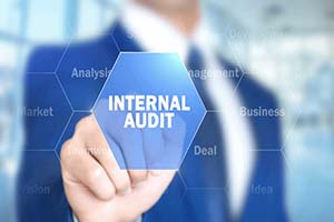 Internal Auditing : A Brief Overview 