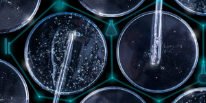 Nitrosamine Impurities MasterClass - EU edition