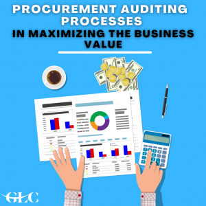 Procurement Auditing Processes in maximizing the business value